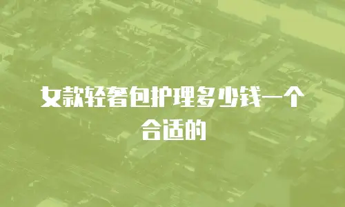 女款轻奢包护理多少钱一个合适的