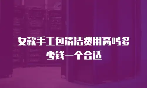 女款手工包清洁费用高吗多少钱一个合适
