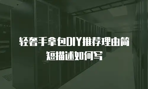 轻奢手拿包DIY推荐理由简短描述如何写