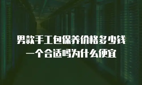 男款手工包保养价格多少钱一个合适吗为什么便宜