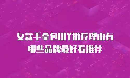 女款手拿包DIY推荐理由有哪些品牌最好看推荐