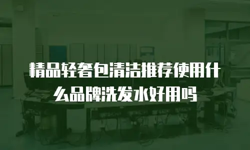 精品轻奢包清洁推荐使用什么品牌洗发水好用吗