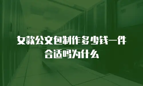 女款公文包制作多少钱一件合适吗为什么