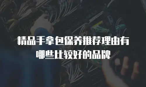 精品手拿包保养推荐理由有哪些比较好的品牌