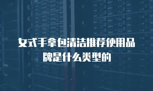 女式手拿包清洁推荐使用品牌是什么类型的