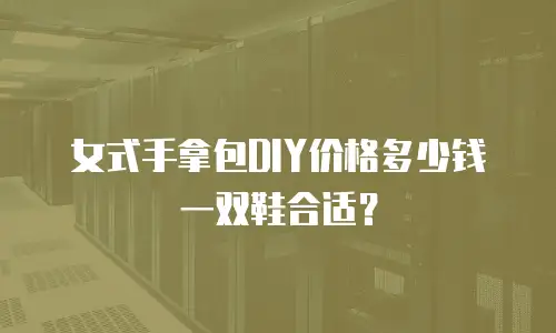 女式手拿包DIY价格多少钱一双鞋合适？