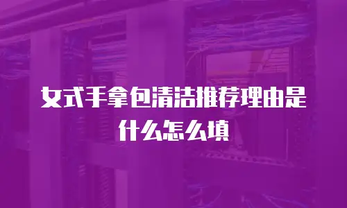 女式手拿包清洁推荐理由是什么怎么填