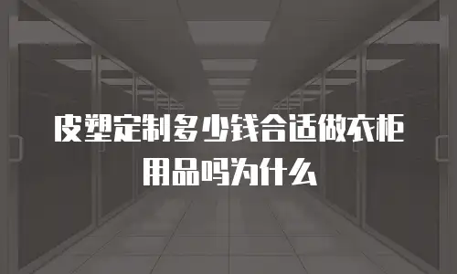 皮塑定制多少钱合适做衣柜用品吗为什么