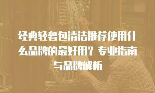 经典轻奢包清洁推荐使用什么品牌的最好用？专业指南与品牌解析