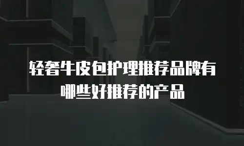 轻奢牛皮包护理推荐品牌有哪些好推荐的产品