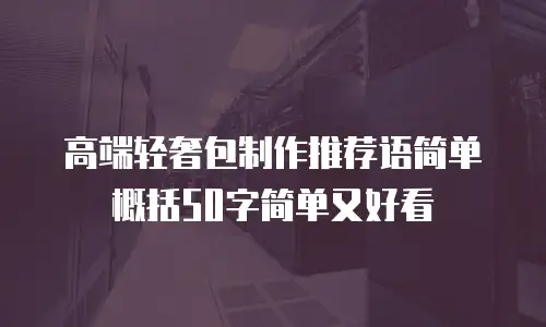 高端轻奢包制作推荐语简单概括50字简单又好看