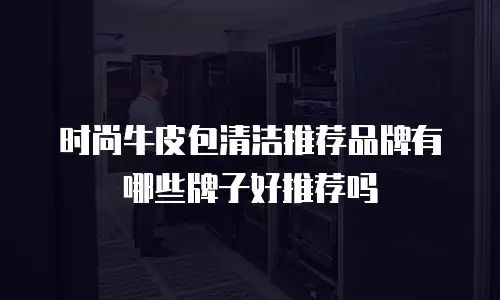 时尚牛皮包清洁推荐品牌有哪些牌子好推荐吗