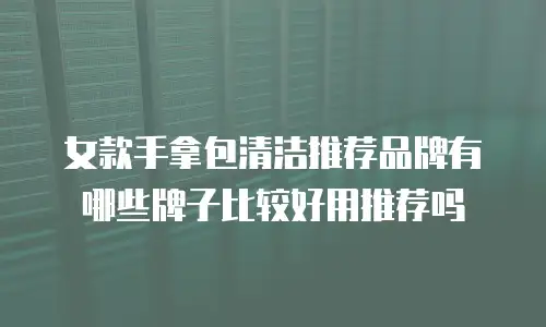 女款手拿包清洁推荐品牌有哪些牌子比较好用推荐吗