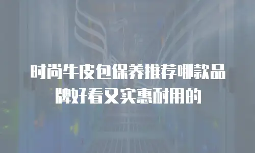 时尚牛皮包保养推荐哪款品牌好看又实惠耐用的