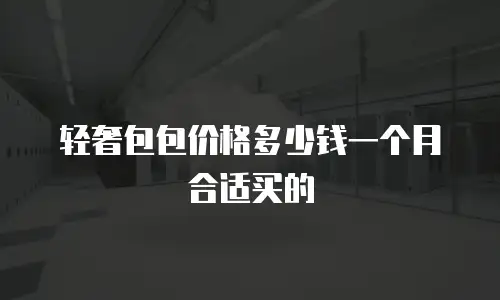 轻奢包包价格多少钱一个月合适买的