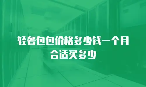 轻奢包包价格多少钱一个月合适买多少