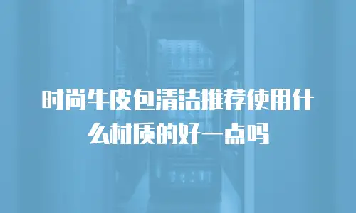 时尚牛皮包清洁推荐使用什么材质的好一点吗