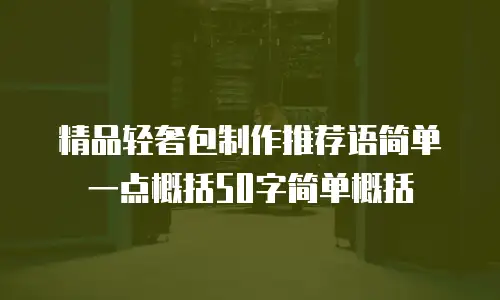 精品轻奢包制作推荐语简单一点概括50字简单概括