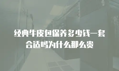 经典牛皮包保养多少钱一套合适吗为什么那么贵