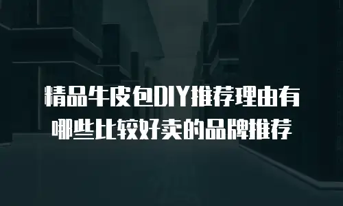 精品牛皮包DIY推荐理由有哪些比较好卖的品牌推荐