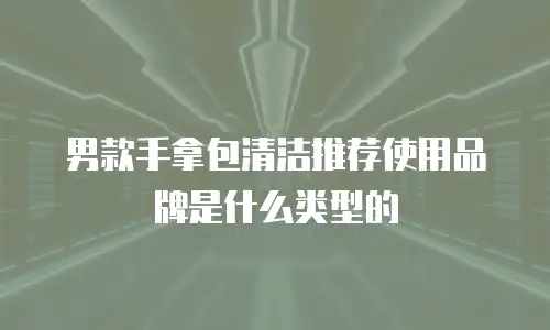 男款手拿包清洁推荐使用品牌是什么类型的