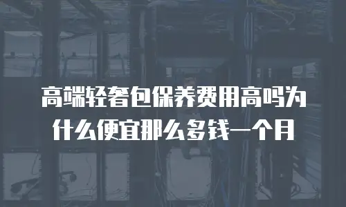 高端轻奢包保养费用高吗为什么便宜那么多钱一个月