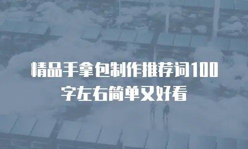精品手拿包制作推荐词100字左右简单又好看
