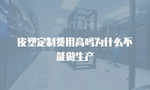 皮塑定制费用高吗为什么不能做生产