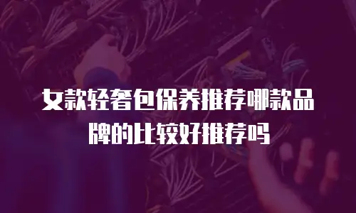 女款轻奢包保养推荐哪款品牌的比较好推荐吗