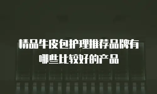 精品牛皮包护理推荐品牌有哪些比较好的产品