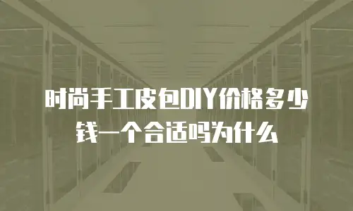 时尚手工皮包DIY价格多少钱一个合适吗为什么