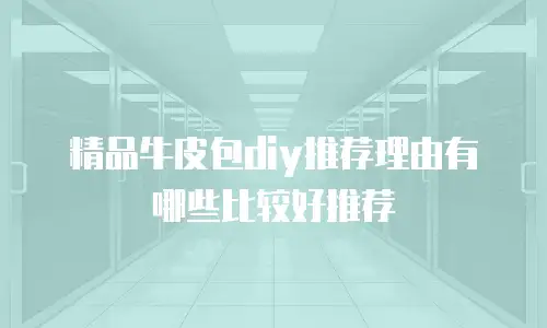 精品牛皮包diy推荐理由有哪些比较好推荐