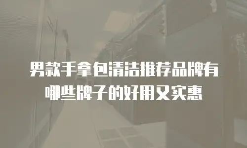 男款手拿包清洁推荐品牌有哪些牌子的好用又实惠