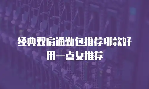 经典双肩通勤包推荐哪款好用一点女推荐