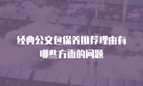 经典公文包保养推荐理由有哪些方面的问题