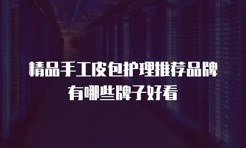 精品手工皮包护理推荐品牌有哪些牌子好看