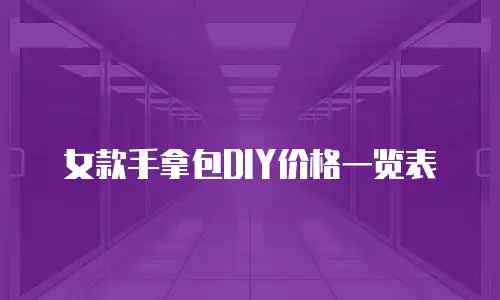 女款手拿包DIY价格一览表