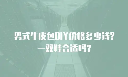 男式牛皮包DIY价格多少钱？一双鞋合适吗？