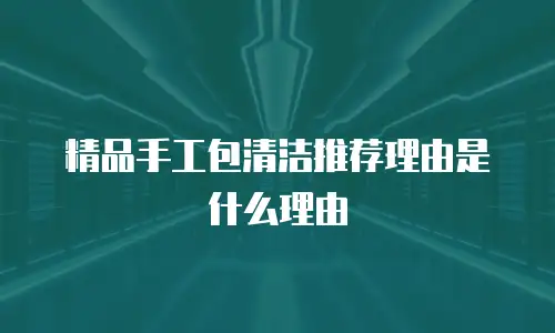 精品手工包清洁推荐理由是什么理由