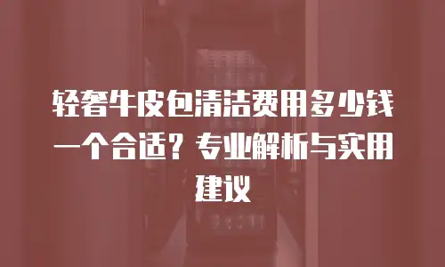 轻奢牛皮包清洁费用多少钱一个合适？专业解析与实用建议
