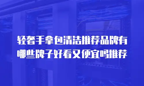 轻奢手拿包清洁推荐品牌有哪些牌子好看又便宜吗推荐