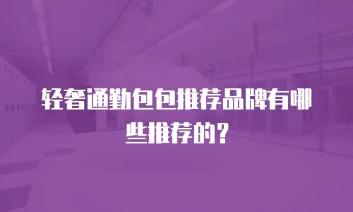 轻奢通勤包包推荐品牌有哪些推荐的？
