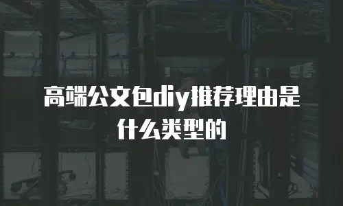 高端公文包diy推荐理由是什么类型的