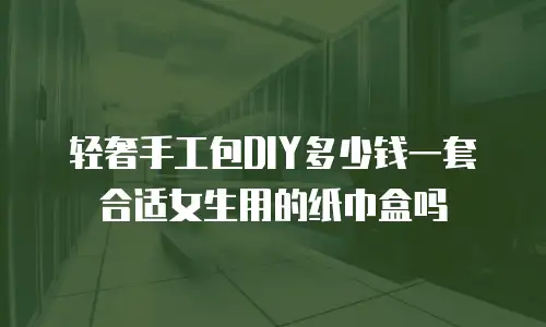 轻奢手工包DIY多少钱一套合适女生用的纸巾盒吗