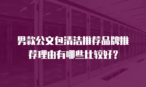 男款公文包清洁推荐品牌推荐理由有哪些比较好？