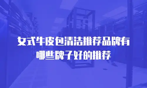 女式牛皮包清洁推荐品牌有哪些牌子好的推荐