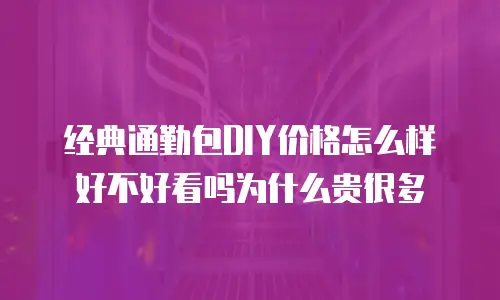 经典通勤包DIY价格怎么样好不好看吗为什么贵很多