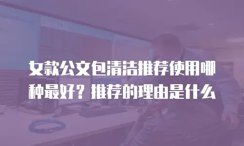 女款公文包清洁推荐使用哪种最好？推荐的理由是什么