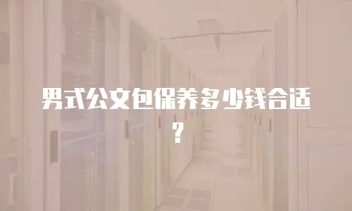 男式公文包保养多少钱合适？
