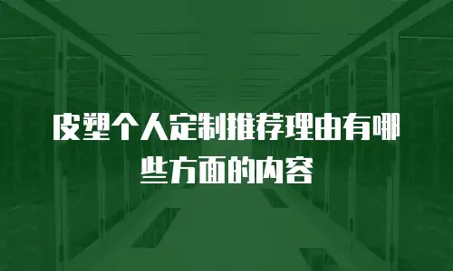 皮塑个人定制推荐理由有哪些方面的内容